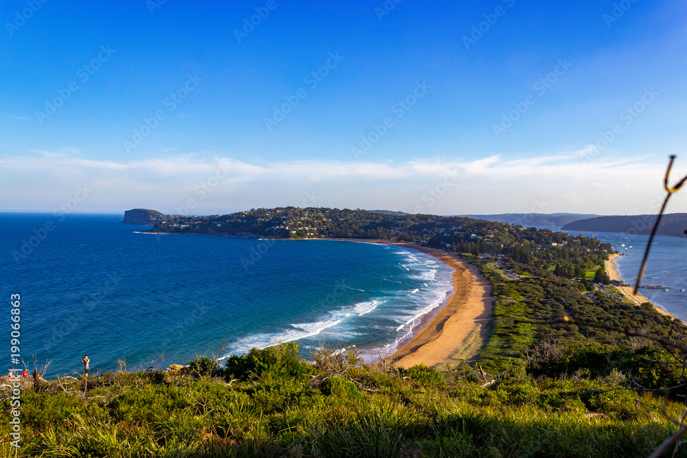 Naklejka premium Palm Beach NSW