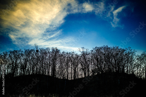 空 夕焼け 風景 雲 自然 木 木 森 雲 太陽 青 日の出 冬 秋 当惑 暗い 光 野原 山 地平線 オレンジ 夜 緑 木 シルエット Stock Photo Adobe Stock 空 夕焼け 風景 雲 自然 木 木 森 雲 太陽 青 日の出 冬 秋 当惑 暗い 光 野原 山 地平線 オレンジ 夜 緑 木 シルエット Stock Photo Adobe Stock