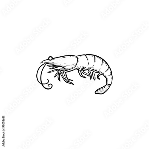Shrimp hand drawn outline doodle icon
