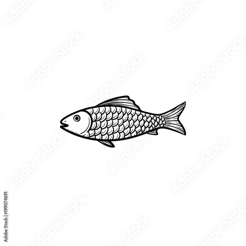 Raw fish hand drawn outline doodle icon