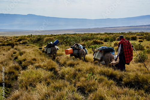 Hike Ngorongoro Conservation Area National park Highlands craters en route for Bulati Village from Nainokanoka with Masai Guide and cook.