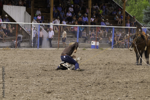 Calf Roping
