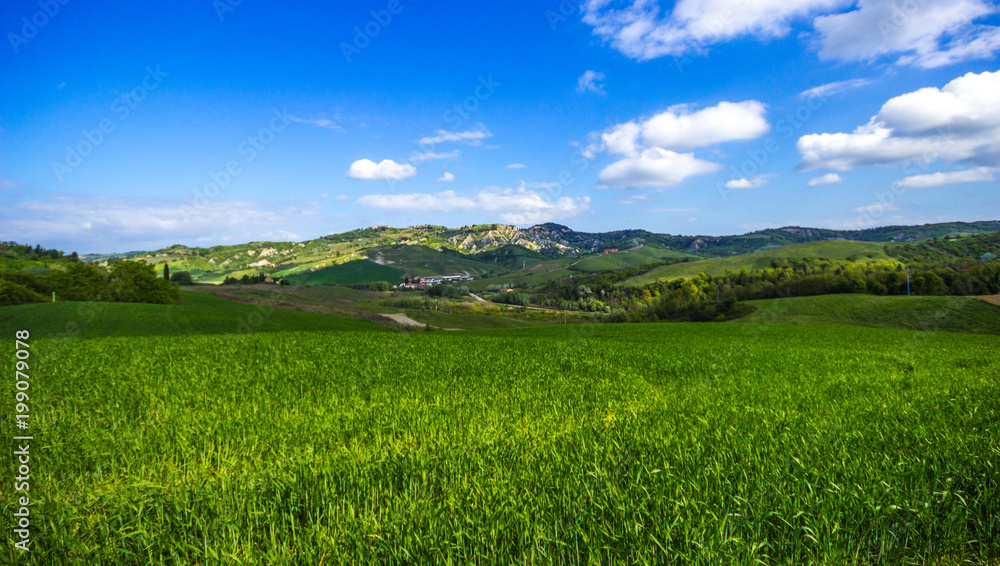 Tuscany, Landscape. Italy
