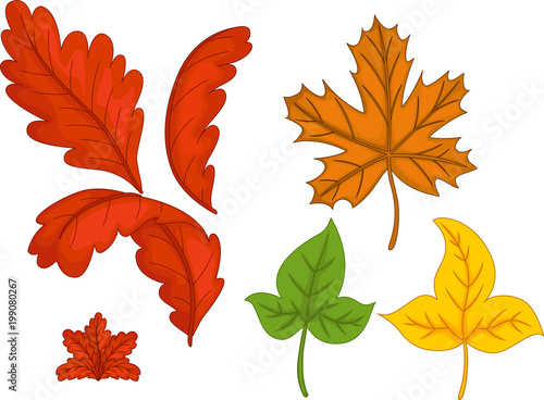 funny autumn leaves cartoon