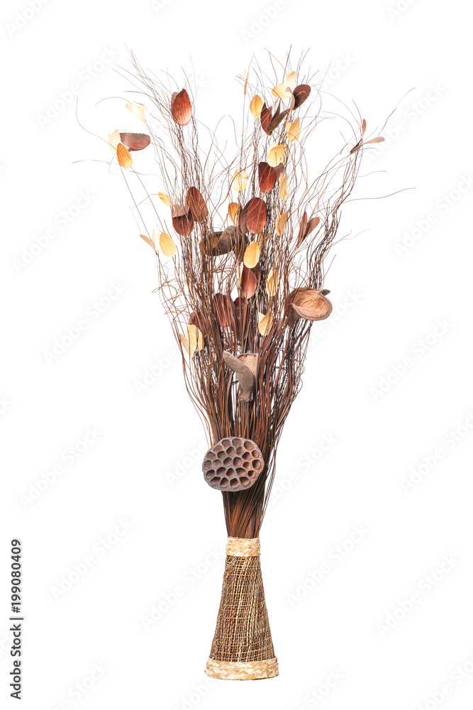 Vase with dry Branches, decorative Sticks and dried Twigs isolated on white  background Photos | Adobe Stock