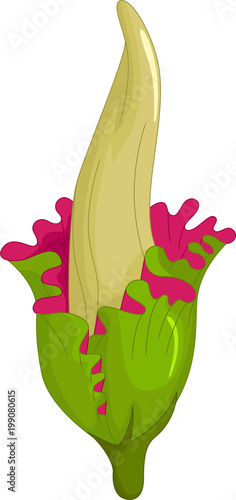 funny reflesia flower cartoon