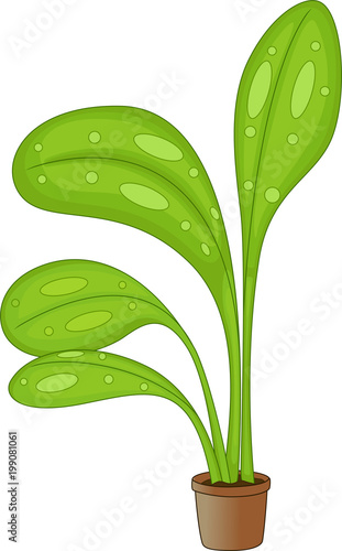 cute taro plants cartoon