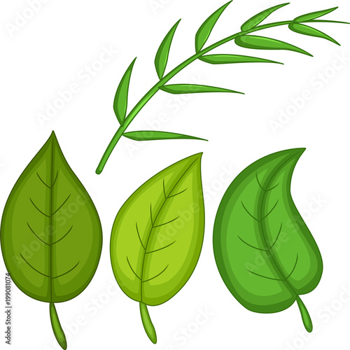green tropical leaves cartoon
