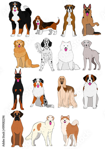 group of large and middle dogs breeds hand drawn