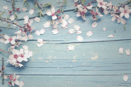Blue wooden background with almond flowers