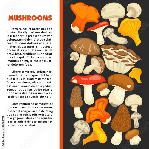 Ripe forest mushrooms of all edible species on promotional poster with sample text