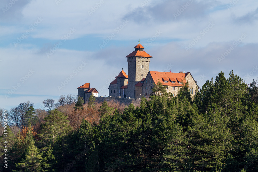 Blick auf die Wachsenburg in Thüringen