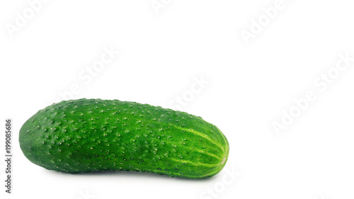 appetizing green cucumber isolated on a white background  health food. copy space  template.