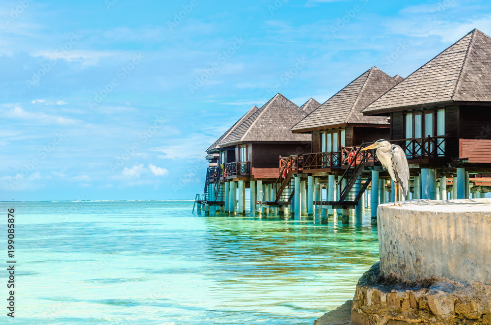 Heron and exotic wooden huts on the water, Maldives