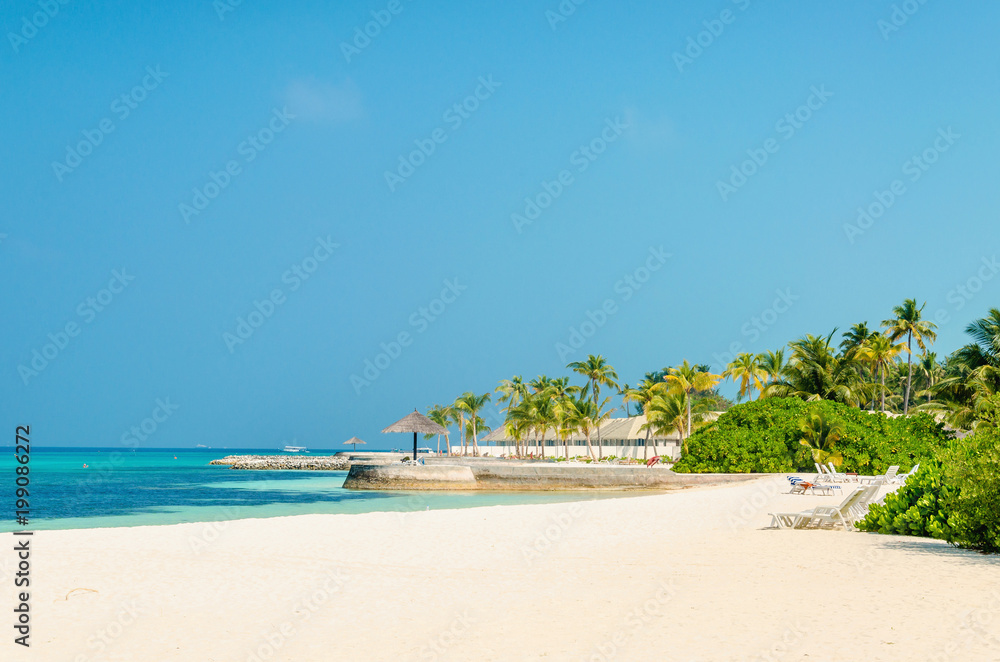 Beautiful paradise beach with tall palm trees and blue sky