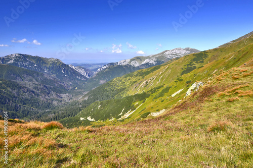 Green meadows surrounding the high peaks of the West Tatra mountains