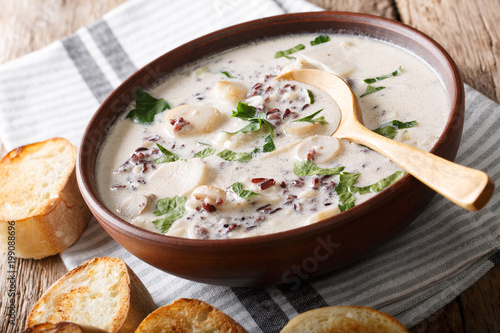 Homemade creamy soup of wild rice with porcini mushrooms and vegetables close-up. horizontal