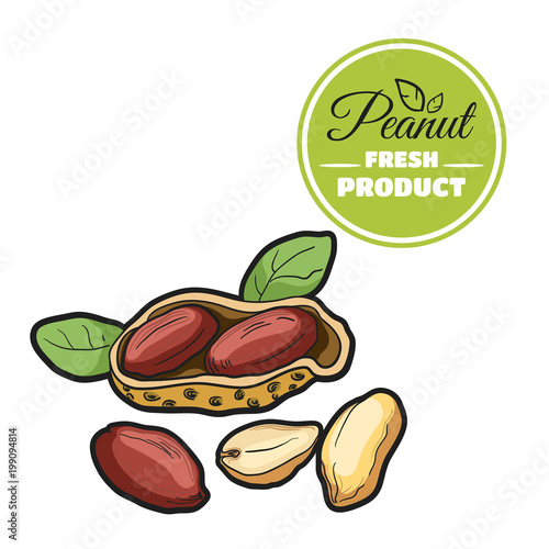 Colored Peanut On White