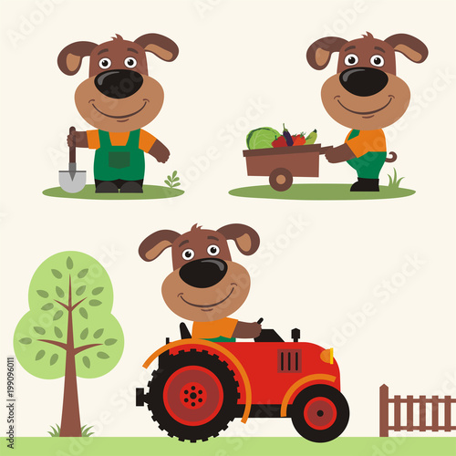 Set of funny puppy dog farmer with shovel, with wheelbarrow with vegetables, in farm tractor. Collection of puppy dog is working on the farm.