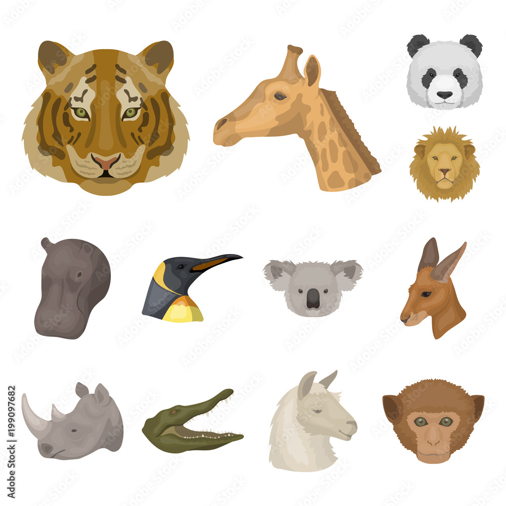 Obraz Wild animal cartoon icons in set collection for design. Mammal and bird vector symbol stock web illustration.