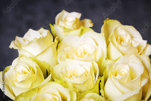 Bright yellow roses background