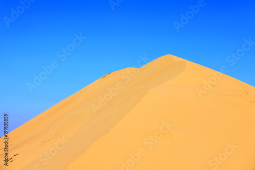 The desert under the blue sky
