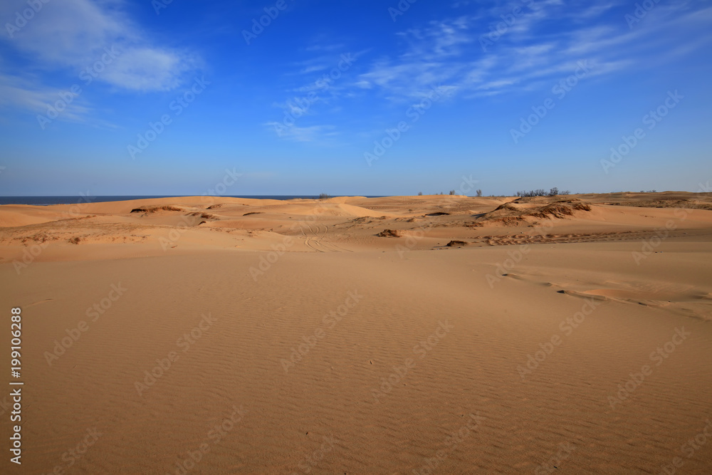 The desert under the blue sky