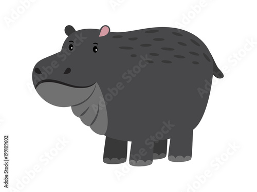 Hippo. Cute vector cartoon hippopotamus, adorable african behemoth animal, river-horse on white