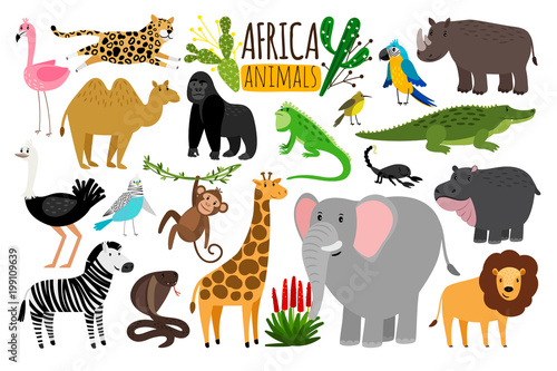 African animals. Various wildlife animals of Africa  vector monkey or marmoset and leopard  parrot and rhinoceros