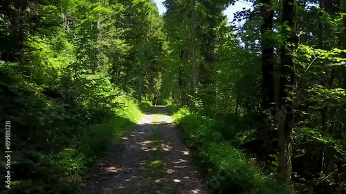 Tirol Austria Alpine road in the woods.  magical forest and trees on a summer day. drone footage.