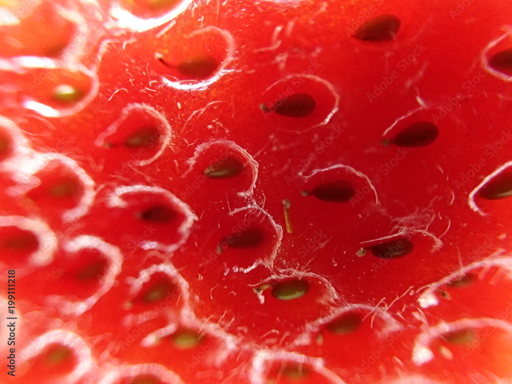 micro texture of fresh strawberry micro texture of fresh strawberry