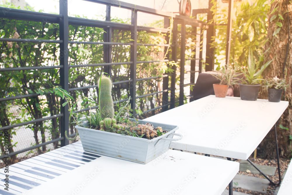 Fototapeta premium Home or outdoor cafe garden with sunlight
