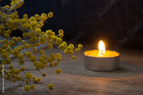 candle, branch of mimosa