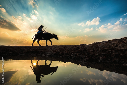 farmer and  buffalo with beautiful sunset background © photonet2015