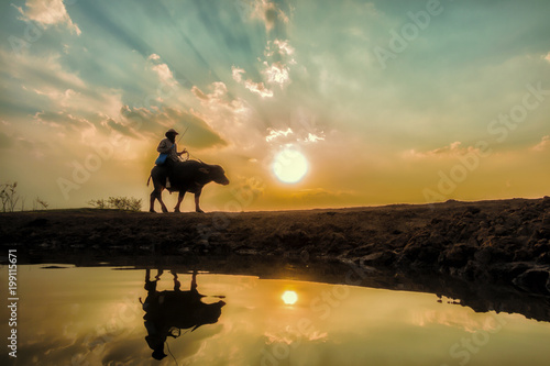 farmer and  buffalo with beautiful sunset background © photonet2015