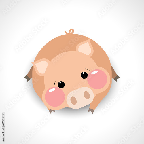 Cute pig cartoon  vector illustration