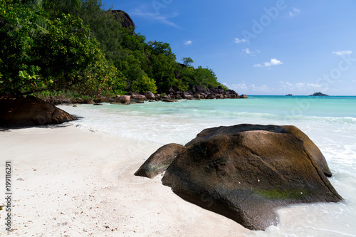 White sand beach on the Seychelles with big rocks and green plants