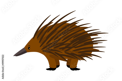 Echidna. Cute vector echidna character on white