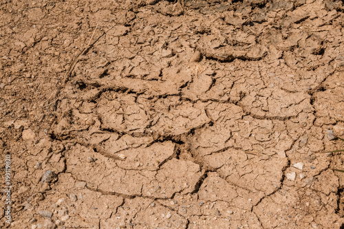 Cracks the drought in Spain's dry fields. Mud barren.
