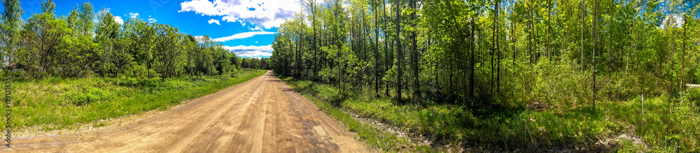 Panoramic view of a country road running through a forest in summer