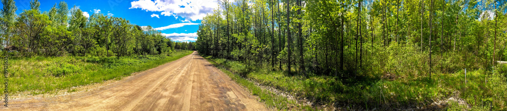 Fototapeta premium Panoramic view of a country road running through a forest in summer