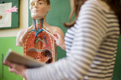 Photography Young female teacher in biology class, holding digital tablet and teaching human body anatomy, using artificial body model to explain internal organs