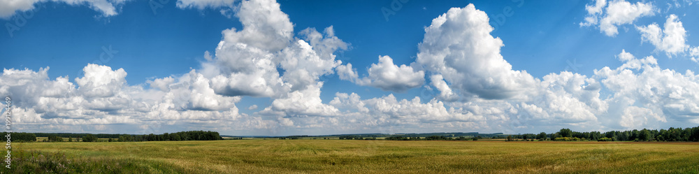 Panorama of summer field and clouds