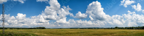 Panorama of summer field and clouds