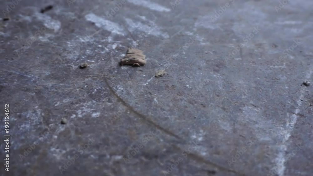 backgrounds of rusty metal. Macro, HD. Dolly shot backgrounds of rusty metal. Macro, HD. Dolly shot