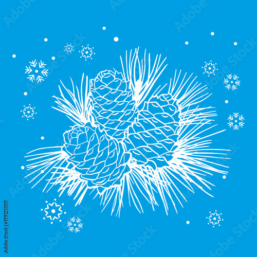 Three cedar cones and cedar needles. Vector shape graphics. Inverted drawing, blue background