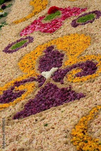 dywany z kwiatów © Lukasz