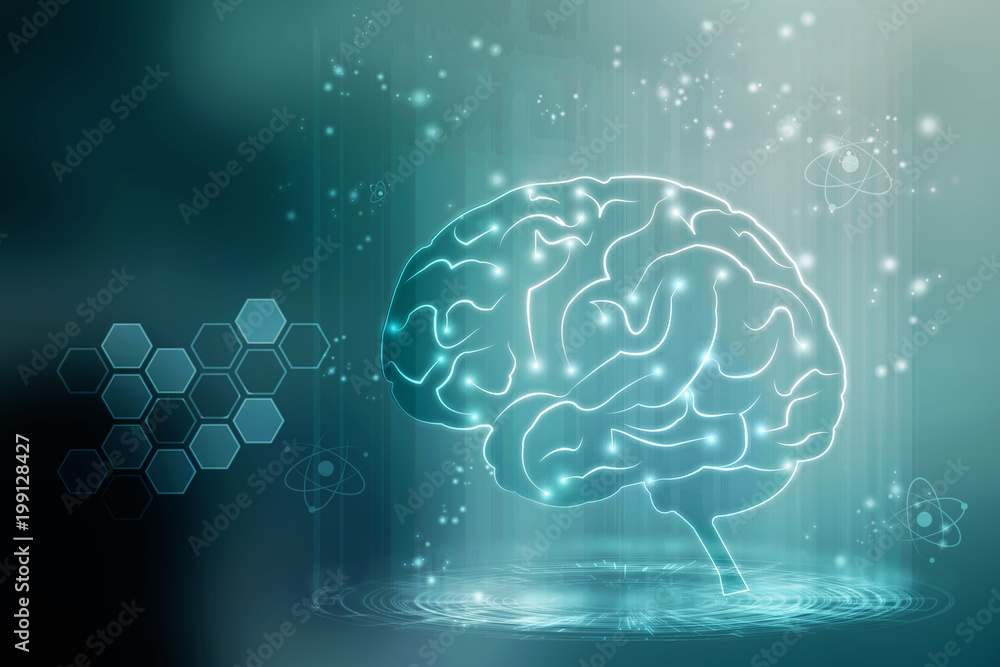 Human brain 3d illustration Human brain 3d illustration