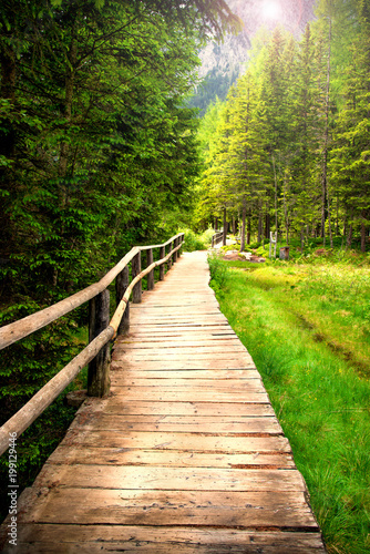 Obraz na płótnie drewniana ścieżka w lesie