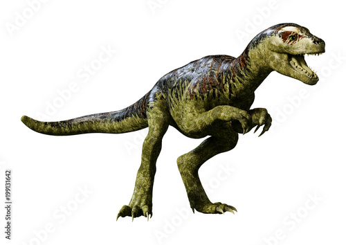 Fototapeta Naklejka Na Ścianę i Meble -  3D Rendering Dinosaur Tyrannosaurus Hatchling on White